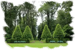 Servicio de Jardinería Mantenimiento de jardines