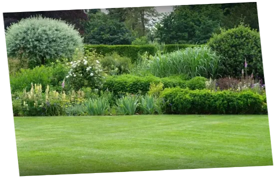 Servicio de Jardinería Mantenimiento de jardines