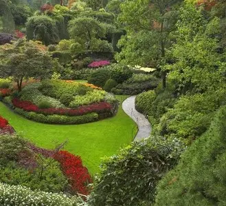 Servicio de Jardinería a Domicilio: Belleza y Cuidado Belleza y CuidadoServicio de Jardinería a Domicilio
