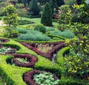 Expertos en Jardines: Mantenimiento Integral a Tu Puerta Mantenimiento Integral a Tu Puerta