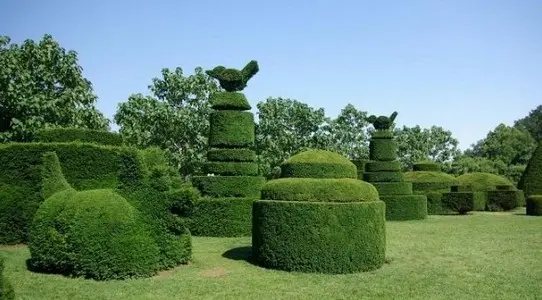 Mantenimiento de Jardines: Servicio Completo y Eficaz Servicio Completo y Eficaz de jardinería