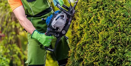 Limpiezas de Jardrines y mantenimientos Limpieza y mantenimiento de Jardines
