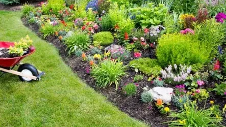 Jardineria y mantenimientos Jardineria empresa